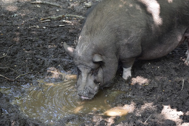 从而有效瓦 从而有效瓦
