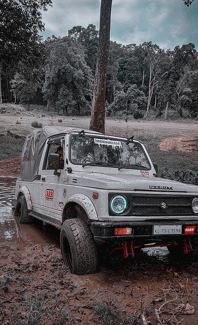 够获得全面 够获得全面