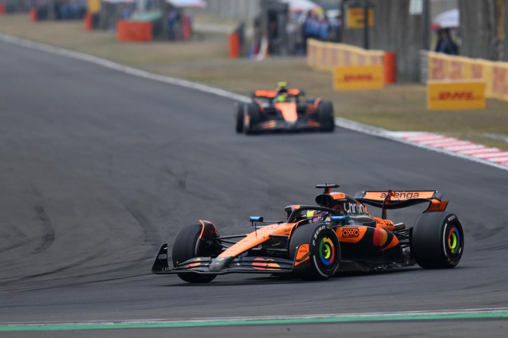 球迷们在社 球迷们在社